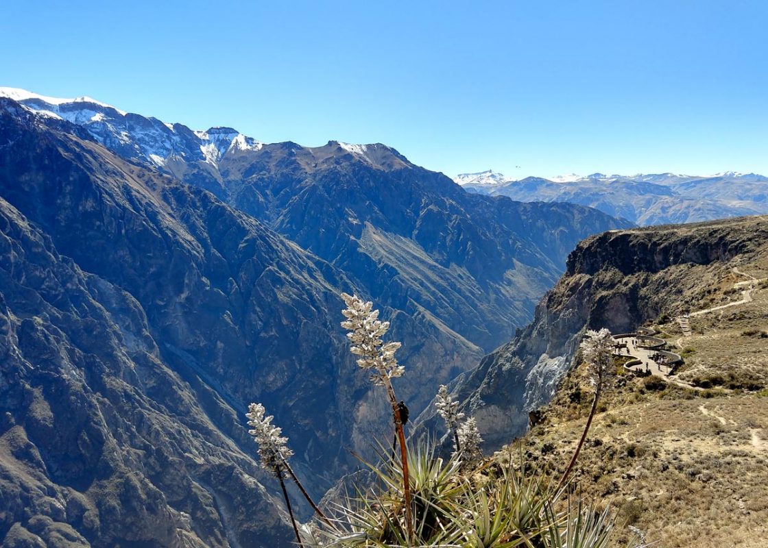 Colca Canyon Without Hiking - Sidecar Photo