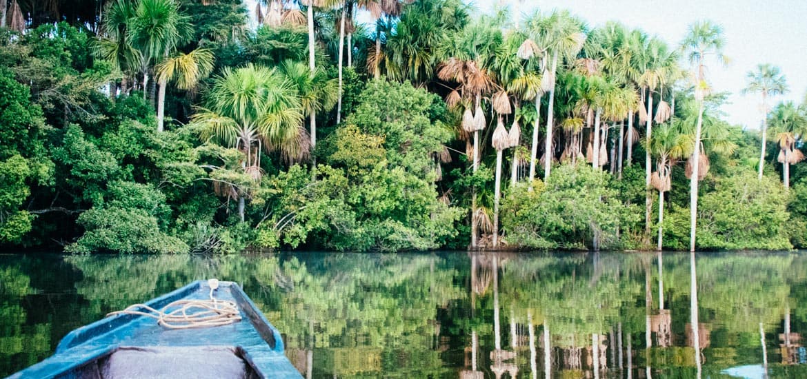 Amazon Jungle Tours Peru Puerto Maldonado | wonder ...