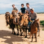 Camel ride on affordable mongolia tour